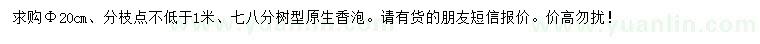 求購胸徑20公分香泡