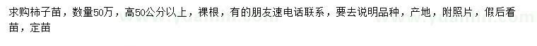 求購高50公分以上柿子樹苗