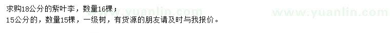 求購15、18公分紫葉李