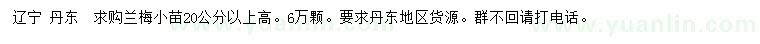 求購高20公分以上蘭梅小苗