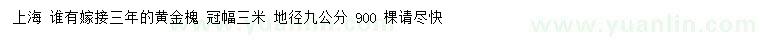 求購地徑9公分黃金槐