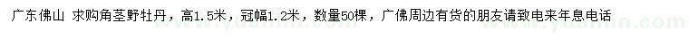 求購(gòu)高1.5米角莖野牡丹