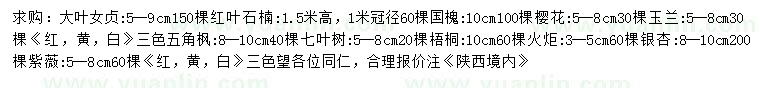 求購大葉女貞、紅葉石楠、國槐等