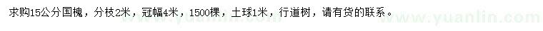 求購15公分國槐