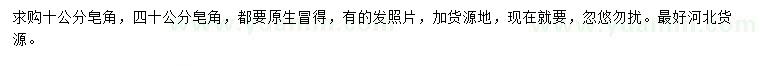 求購10、40公分皂角