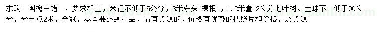 求購國槐、白蠟、七葉樹