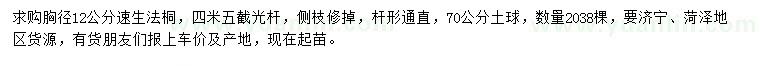 求購(gòu)胸徑12公分速生法桐