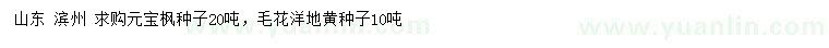 求購元寶楓種子、毛花洋地黃種子