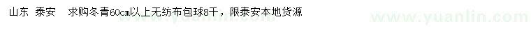 求購60公分以上冬青