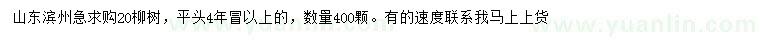 求購20公分柳樹