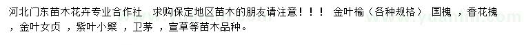 求購(gòu)金葉榆、國(guó)槐、香花槐等