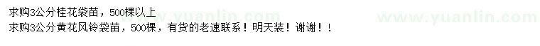 求購3公分桂花、黃花風(fēng)鈴木