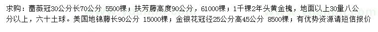 求購薔薇、扶芳藤、黃金槐等