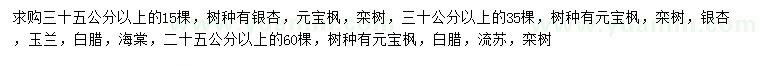求購銀杏、元寶楓、欒樹等