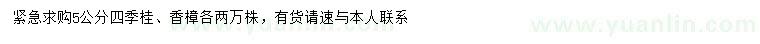 求購(gòu)5公分四季桂、香樟