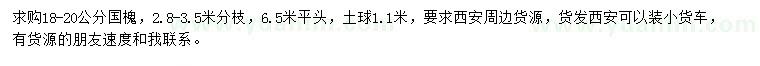 求購(gòu)18-20公分國(guó)槐