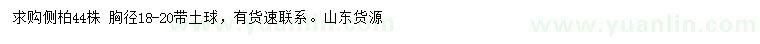 求購胸徑18-20公分側(cè)柏