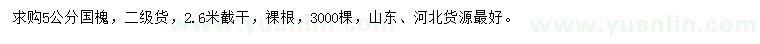 求購5公分國槐