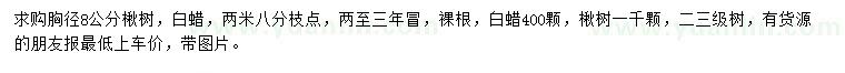 求購(gòu)8公分楸樹(shù)、白蠟