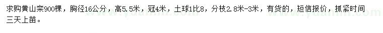 求購胸徑16公分黃山欒