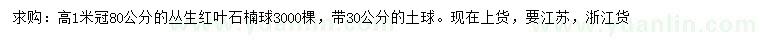 求購高1米叢生紅葉石楠球