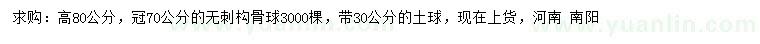 求購高80公分無刺構骨球