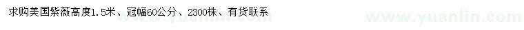 求購高1.5米美國紫薇