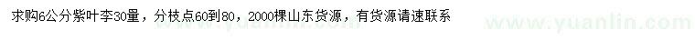 求購30量6公分紫葉李