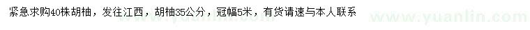 求購(gòu)35公分胡柚樹(shù)