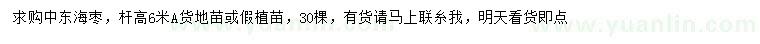 求購桿高6米中東海棗
