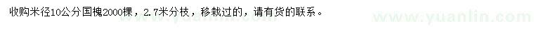 求購米徑10公分國槐