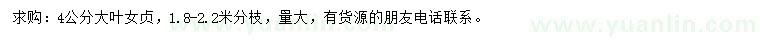 求購4公分大葉女貞