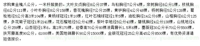 求購黃金槐、大葉女貞、烏桕等