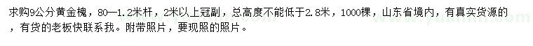 求購9公分黃金槐