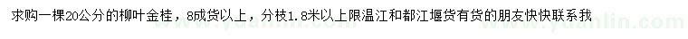 求購20公分柳葉金桂