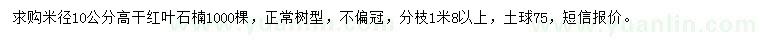 求購米徑10公分高桿紅葉石楠