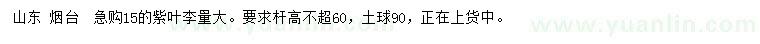求購(gòu)15公分紫葉李