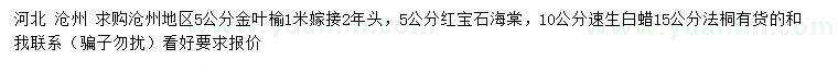 求購金葉榆、紅寶石海棠、速生白蠟等