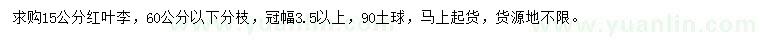 求購15公分紅葉李