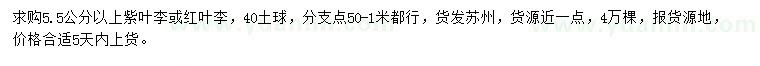 求購5.5公分以上紫葉李或紅葉李