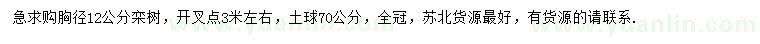 求購胸徑12公分欒樹