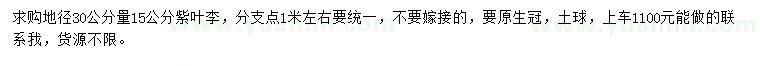 求購地徑30公分量15公分紫葉李