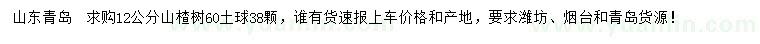 求購12公分山楂樹(shù)