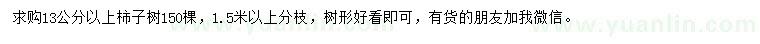 求購13公分以上柿子樹