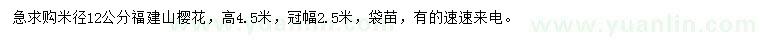 求購米徑12公分福建山櫻花