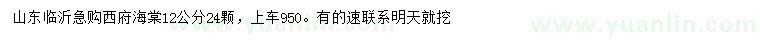 求購12公分西府海棠