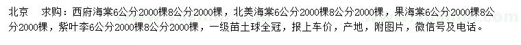 求購(gòu)西府海棠、北美海棠、果海棠等