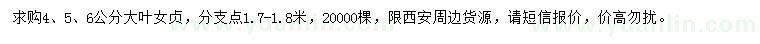 求購4、5、6公分大葉女貞