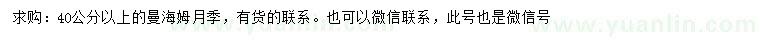 求購40公分以上曼海姆月季