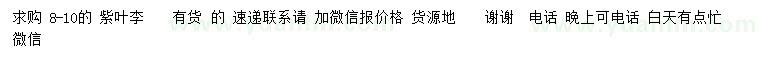 求購8-10公分紫葉李